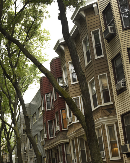 A tree-lined street of brownstone homes