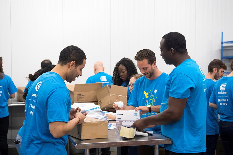 Volunteers package bulb giveaways at food banks.
