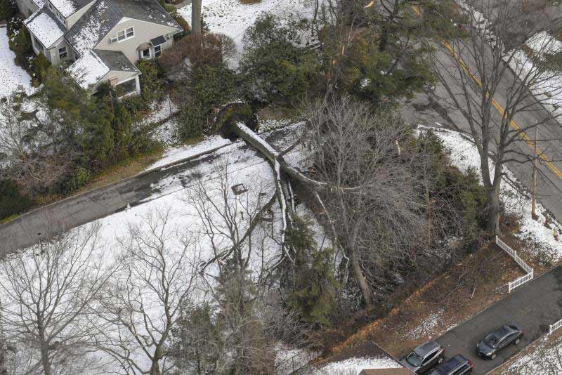 Una vista aérea de un árbol caído en un barrio suburbano. 