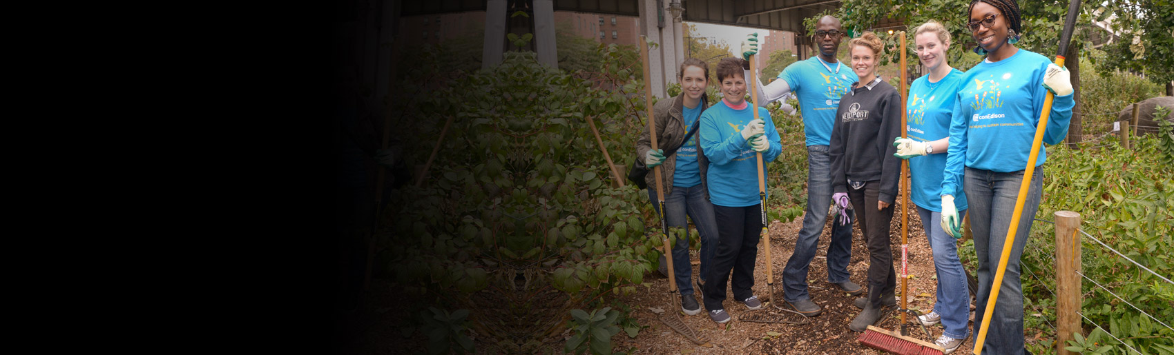 A group of Con Edison employees, working together in a community garden. 