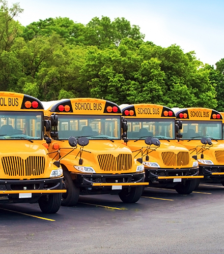 Several parked school busses. 