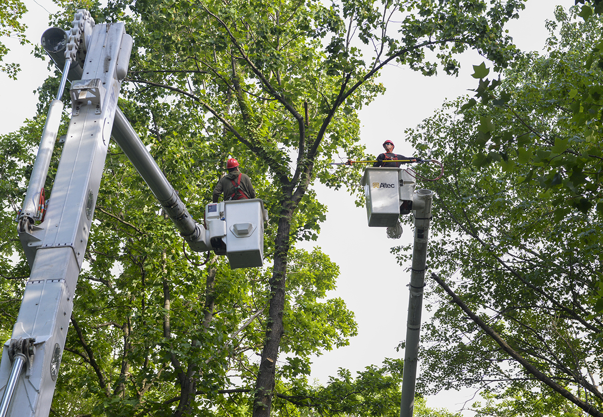 O&R contractors are trimming trees to protect power lines on Addison-Boyce Road in New City. 