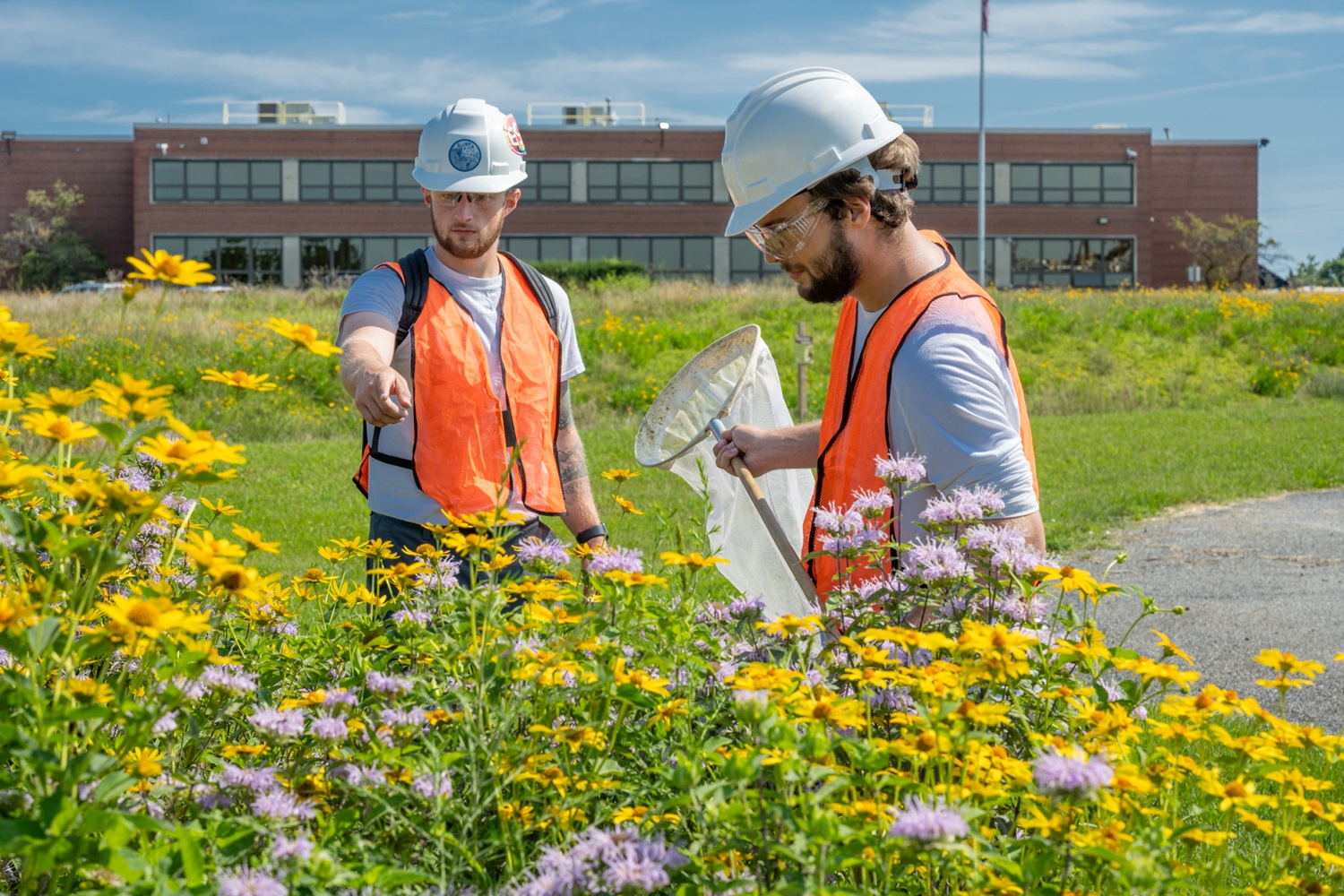 Two workers in field of wild flowers. 